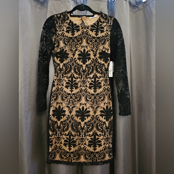 Open Back Lace Cut Dress - Picture 2 of 3